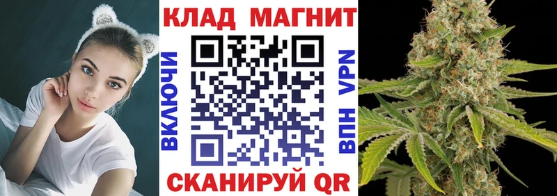 Псилоцибиновые грибы Кемерово