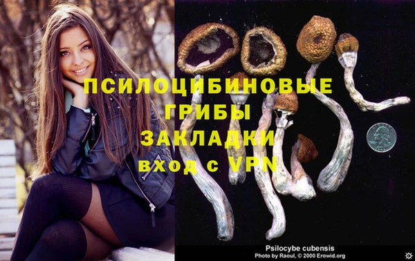 ешки Ладушкин
