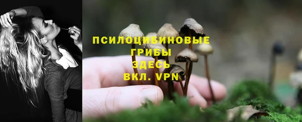 ешки Ладушкин