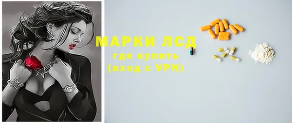 apvp Новозыбков